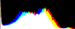 Histogram